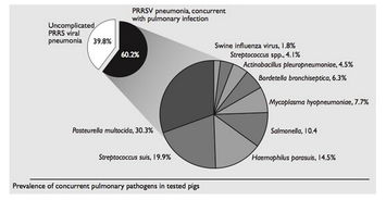 PRRS行業(yè)動態(tài)全解析 行情走勢、企業(yè)管理與行業(yè)趨勢