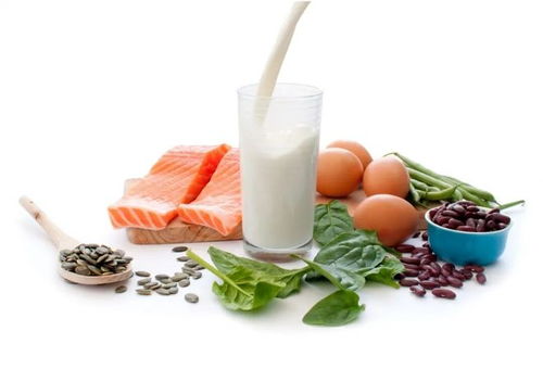 雞蛋牛奶成“垃圾食品”？瑞典研究引發(fā)爭議 過量蛋白質(zhì)或增死亡風(fēng)險