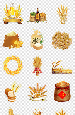 有機(jī)黑芝麻 營(yíng)養(yǎng)與健康的天然寶藏——附PNG圖片下載